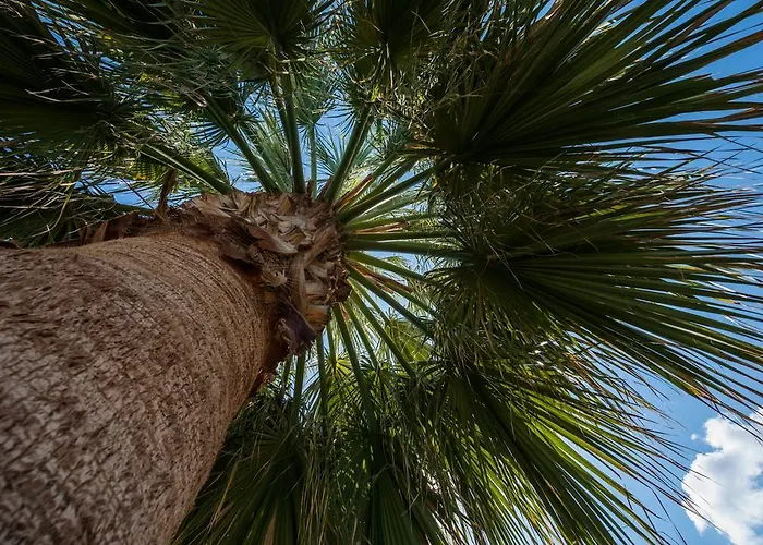 Nireas Lejlighedshotel Kato Daratso