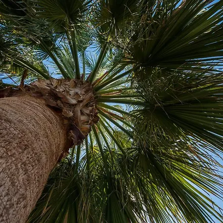 Nireas Apart-hotel Kato Daratso